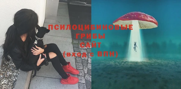 гидропоника Алзамай