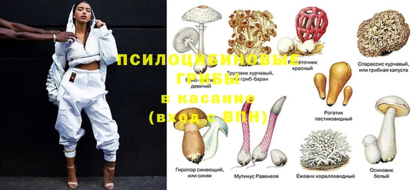 гидропоника Алзамай
