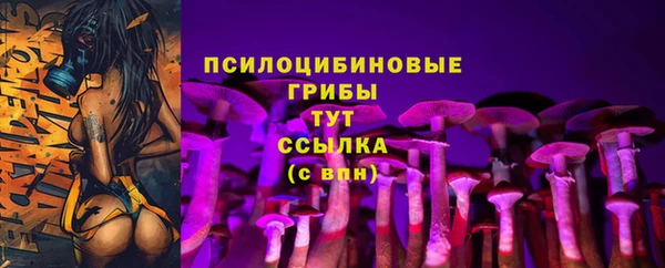 apvp Алексеевка